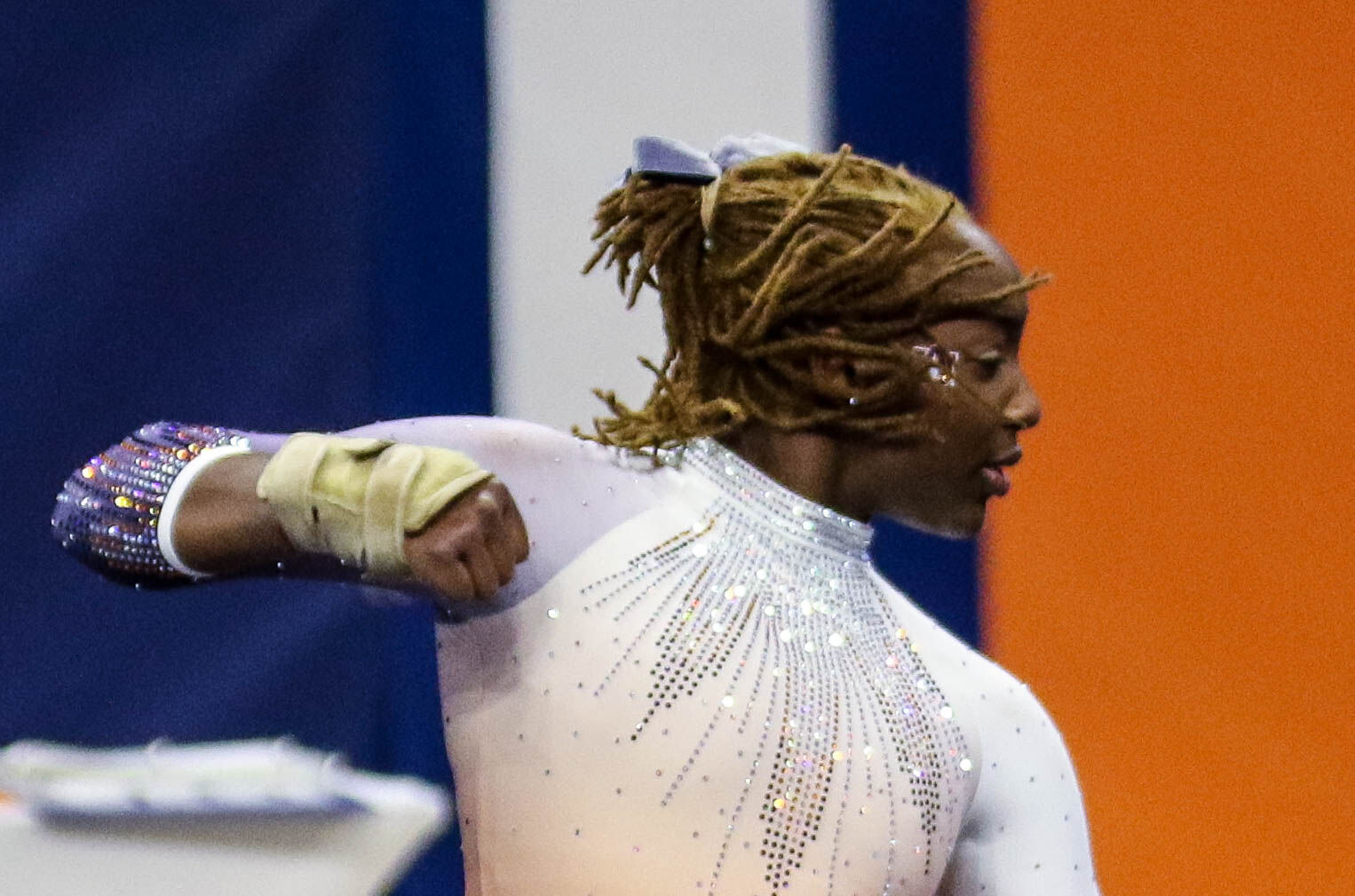 Auburn vs. Arkansas gymnastics